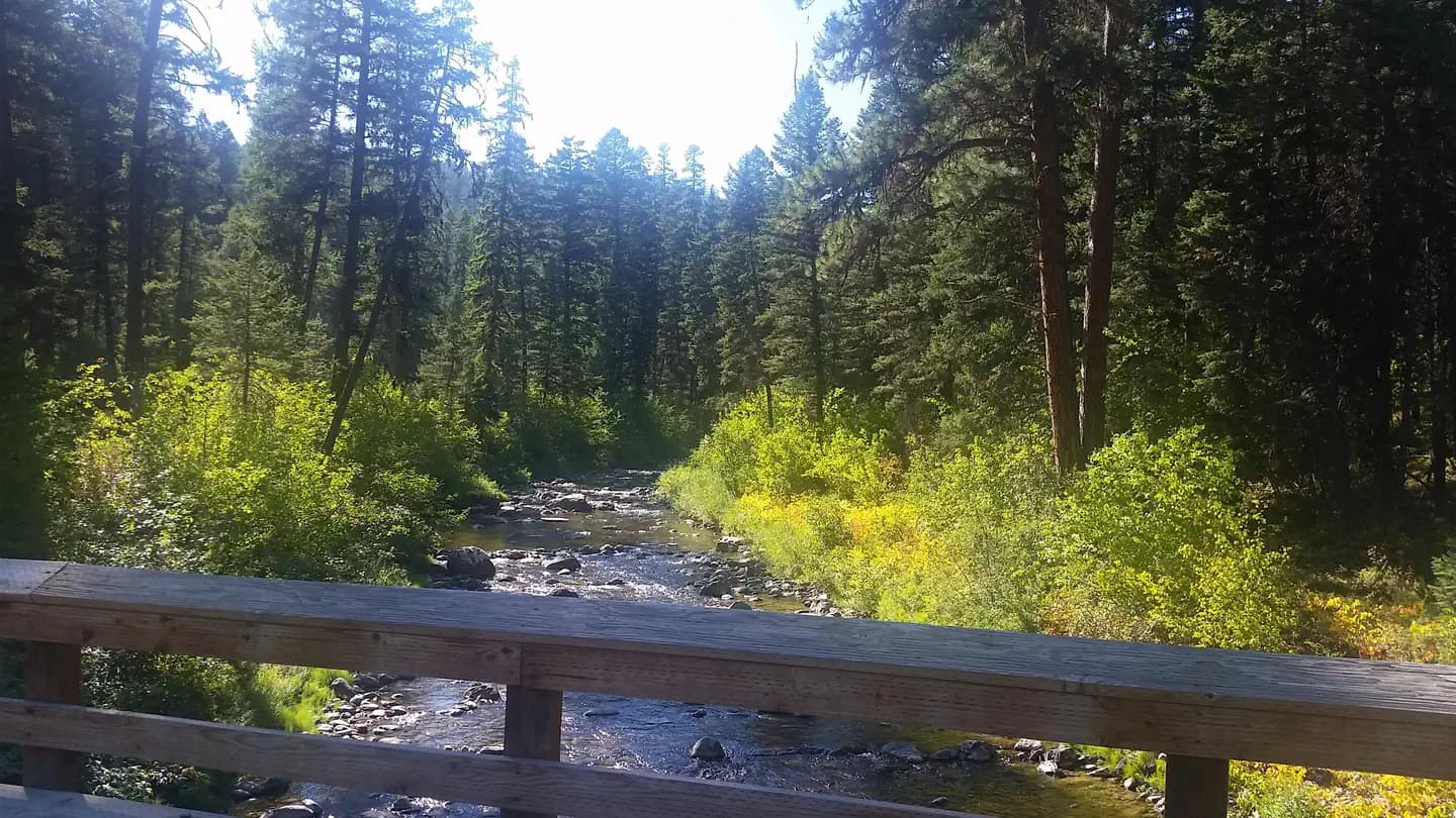 TALLY LAKE CAMPGROUND campground in Montana