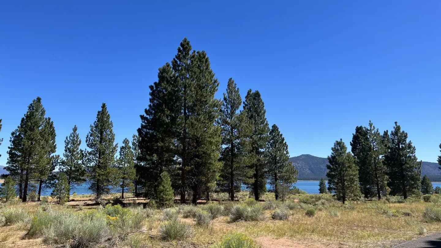 CHRISTIE CAMPGROUND campground in California