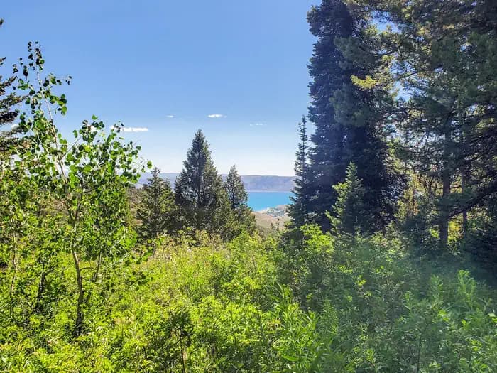 SUNRISE CAMPGROUND campground in Utah