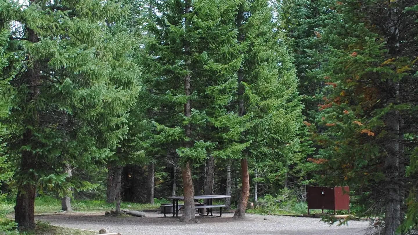 SHEPHERDS RIM CAMPGROUND campground in Colorado