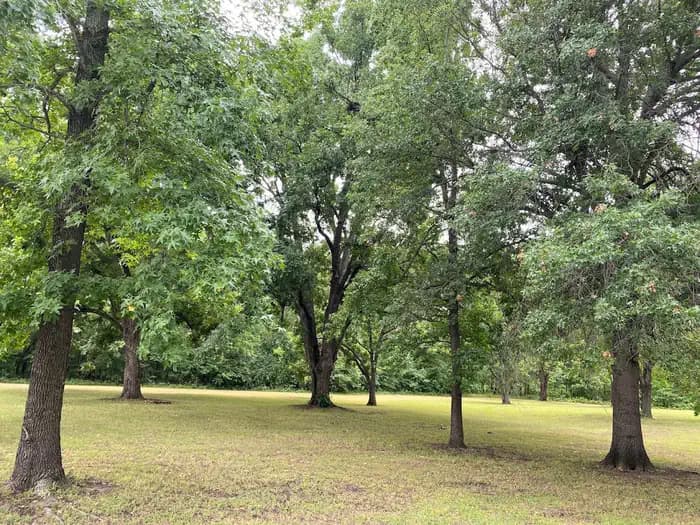 Tullahasse Loop Campground in Oklahoma
