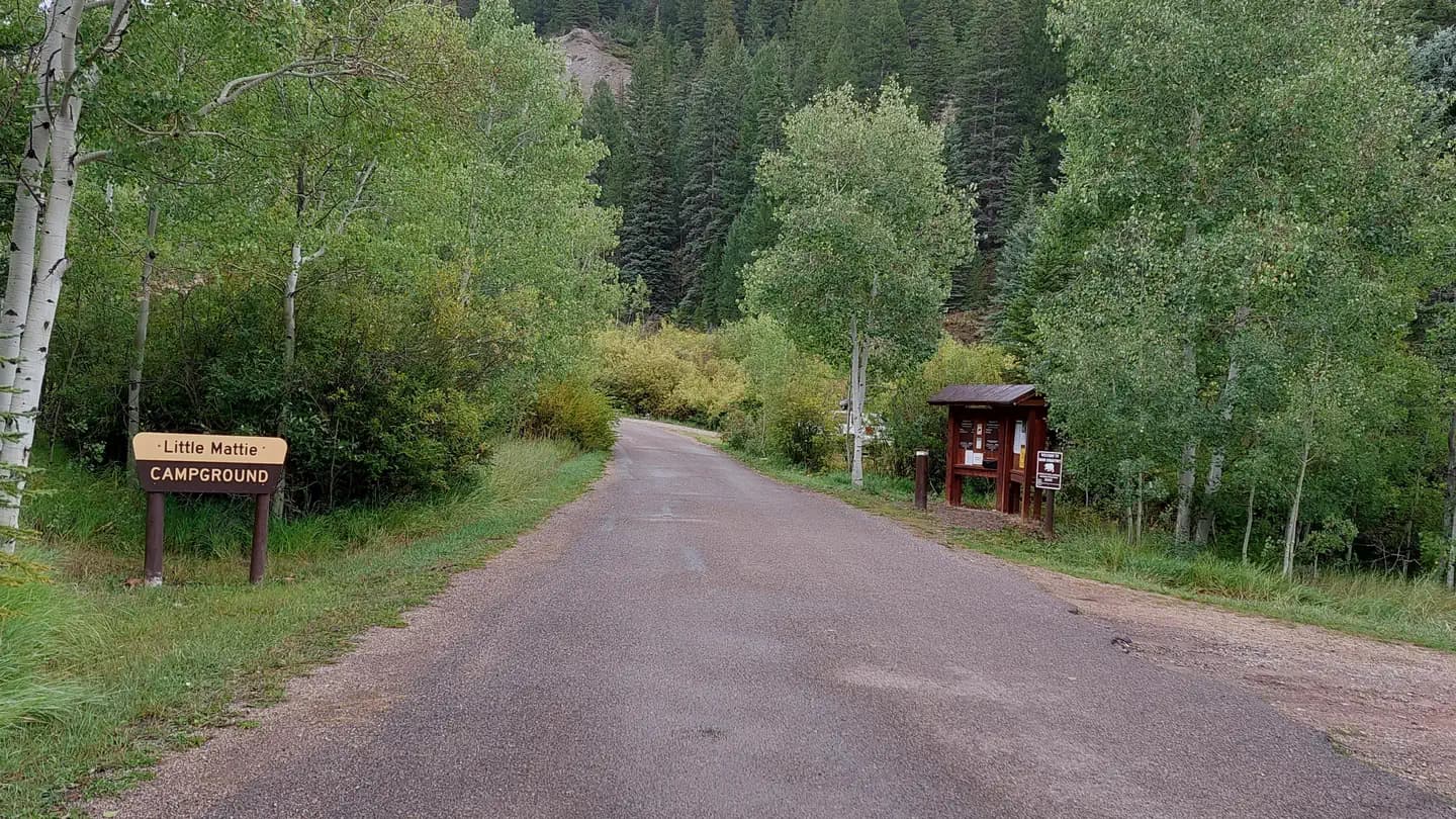Little Mattie Campground campground in Colorado