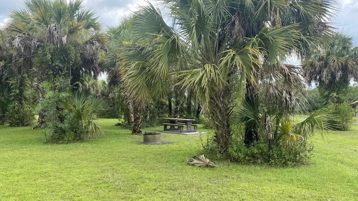 Bear Island Campground in Florida