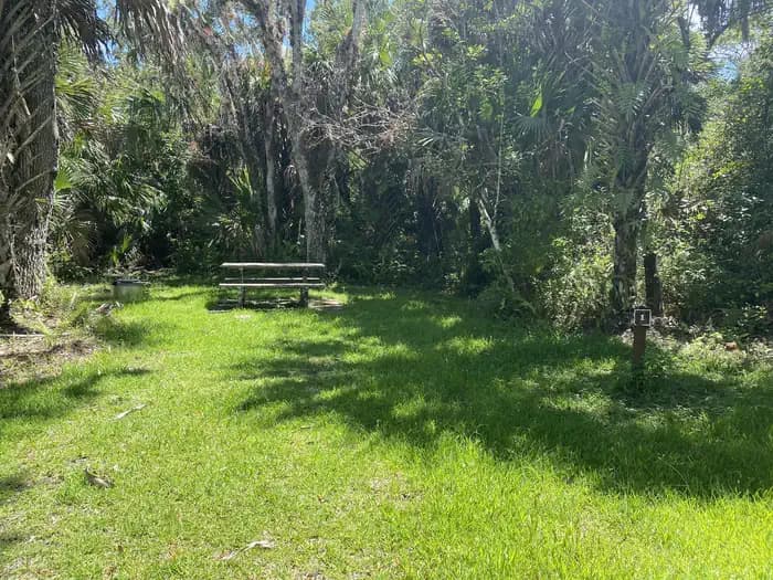 Pink Jeep Campground in Florida