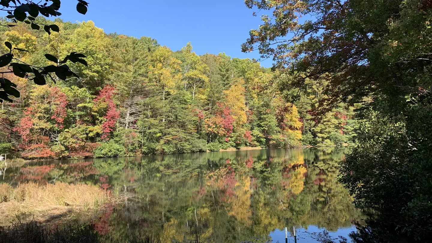 Dockery Lake Recreation Area campground in Georgia