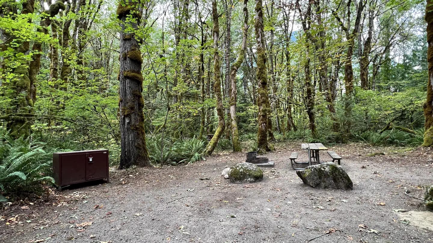 Goodell Creek Campground campground in Washington