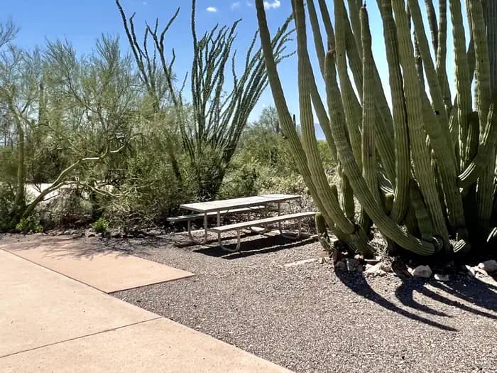 TWIN PEAKS CAMPGROUND campground in Arizona