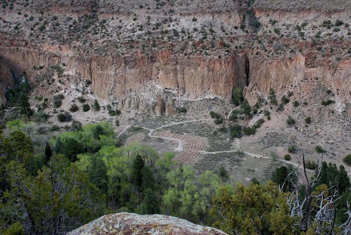 Juniper Campground (NM) campground in New Mexico