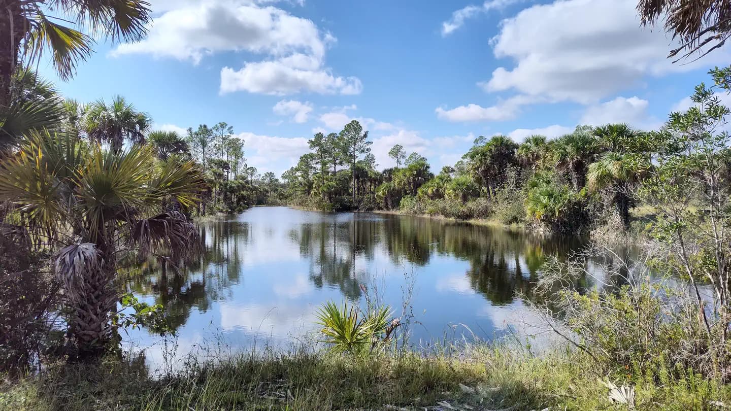 Gator Head Campground campground in Florida