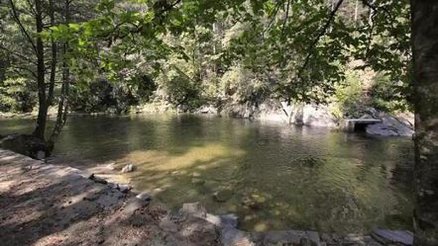 DAVIDSON RIVER campground in North Carolina