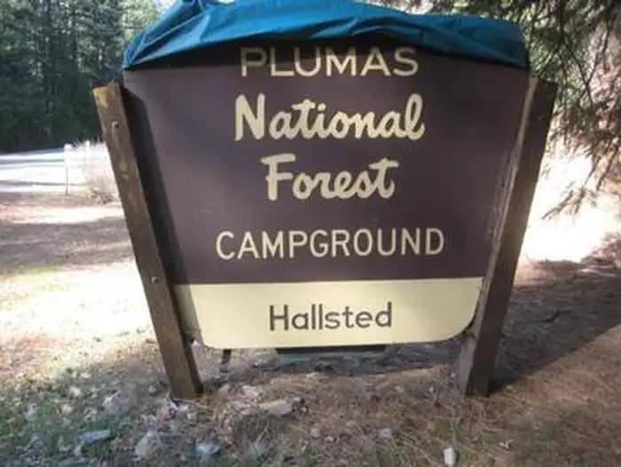 HALLSTED campground in California