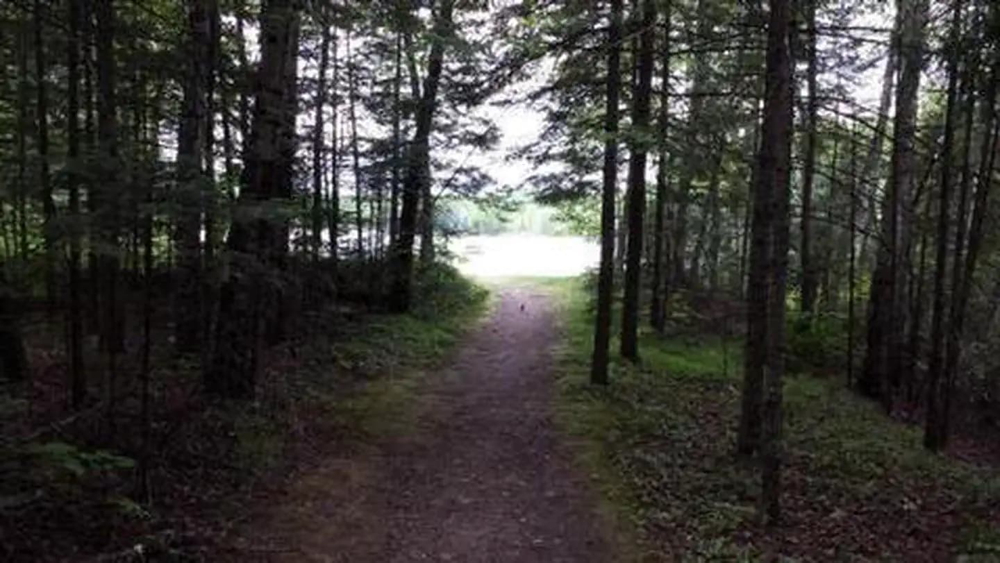 RICHARDSON LAKE CAMPGROUND campground in Wisconsin