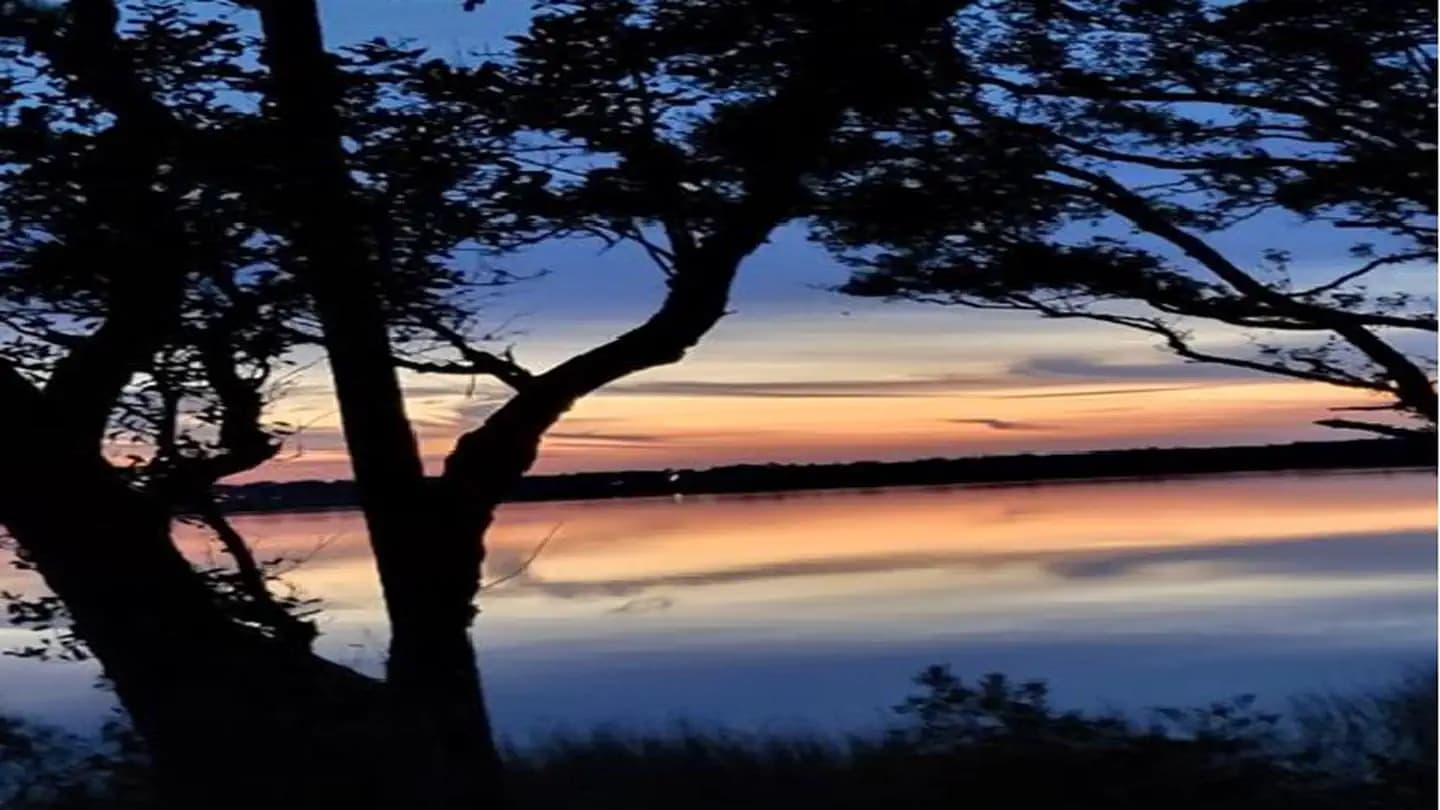 OYSTER POINT CAMPGROUND campground in North Carolina