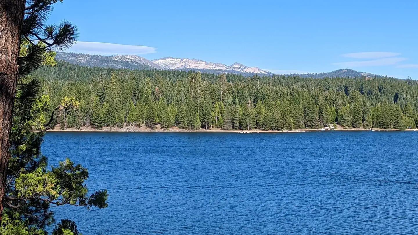 YELLOWJACKET campground in California