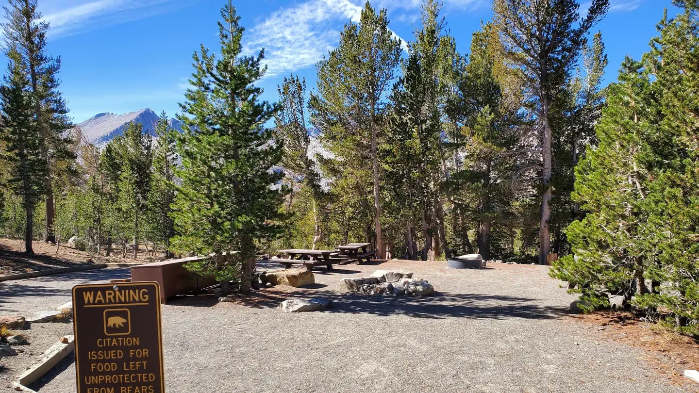 Saddlebag Lake Trailhead Group Camp campground in California