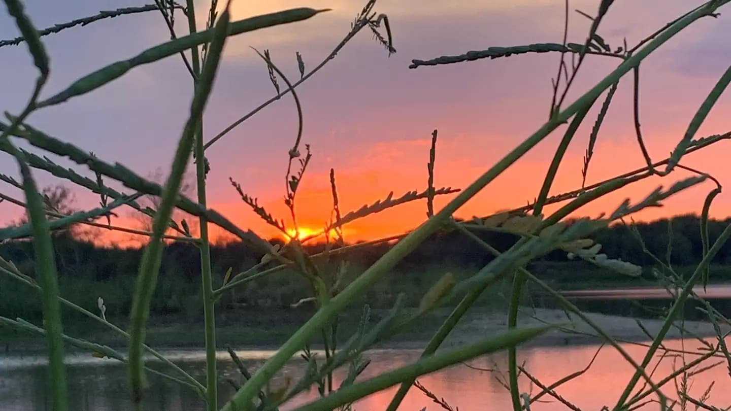 SPEEGLEVILLE PARK campground in Texas