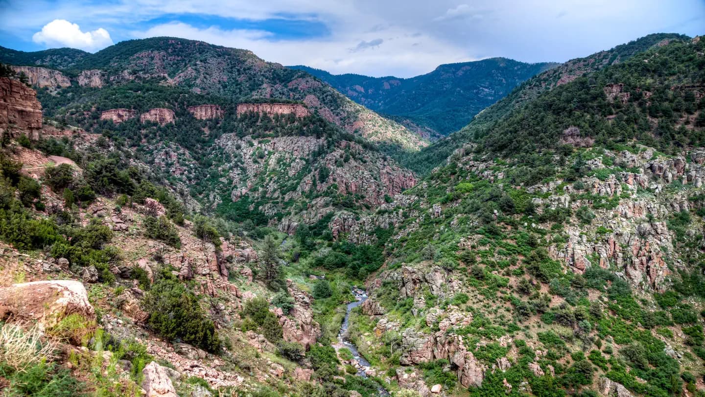 The Bank Campground campground in Colorado