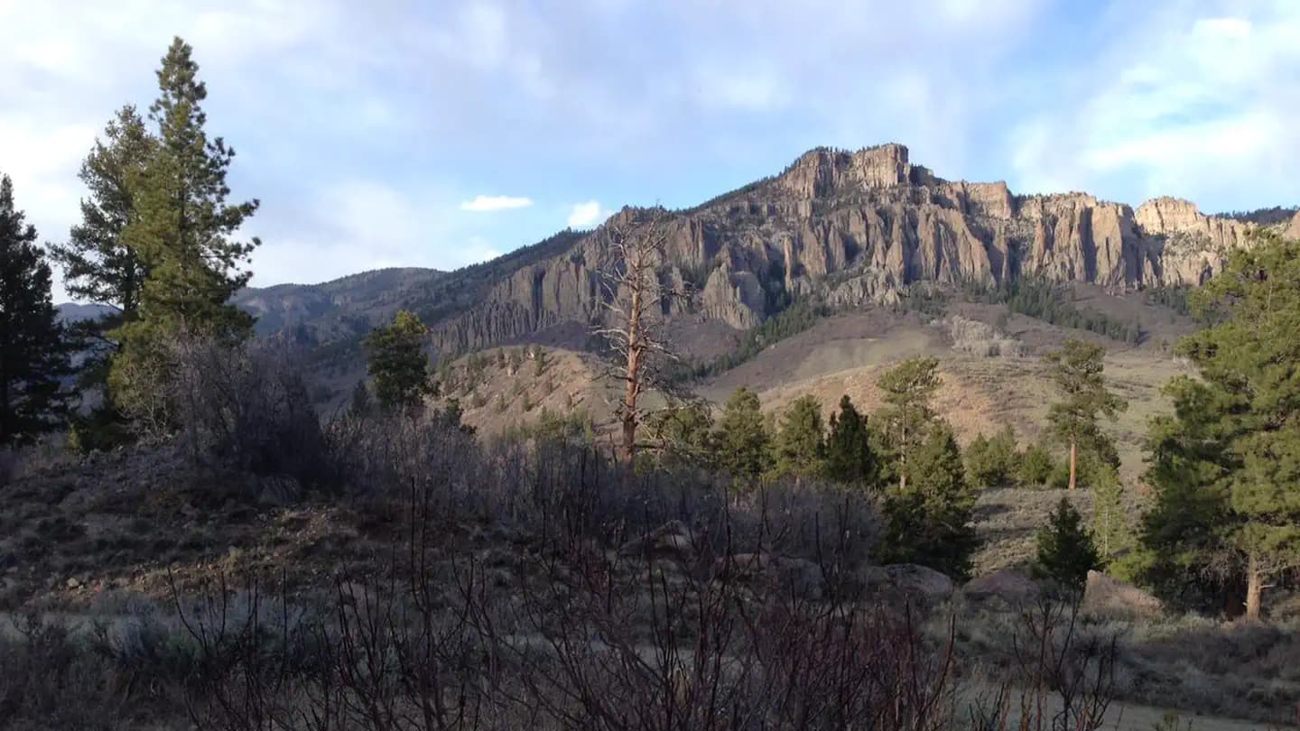 Ponderosa Campground (Co)