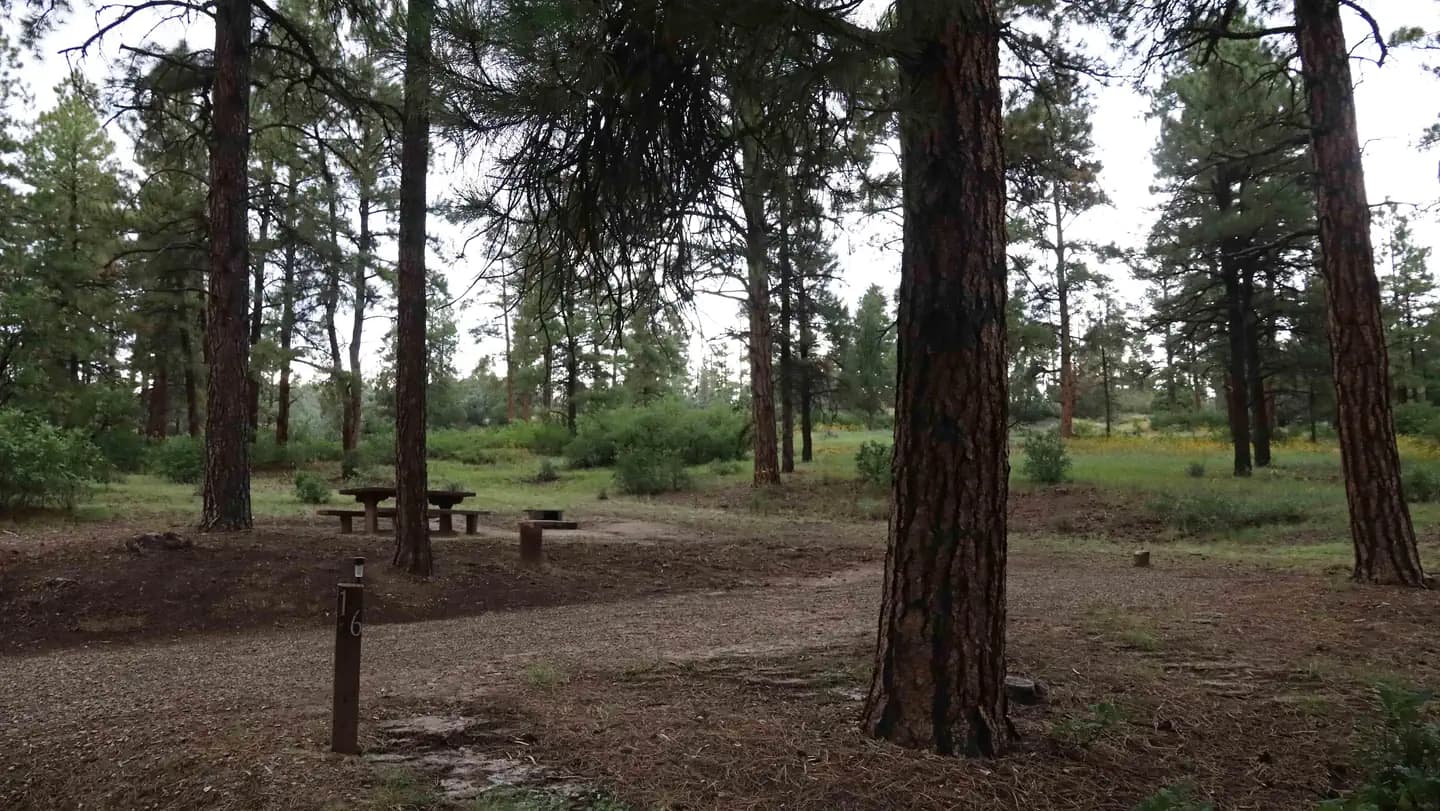 Ute Campground (CO) campground in Colorado