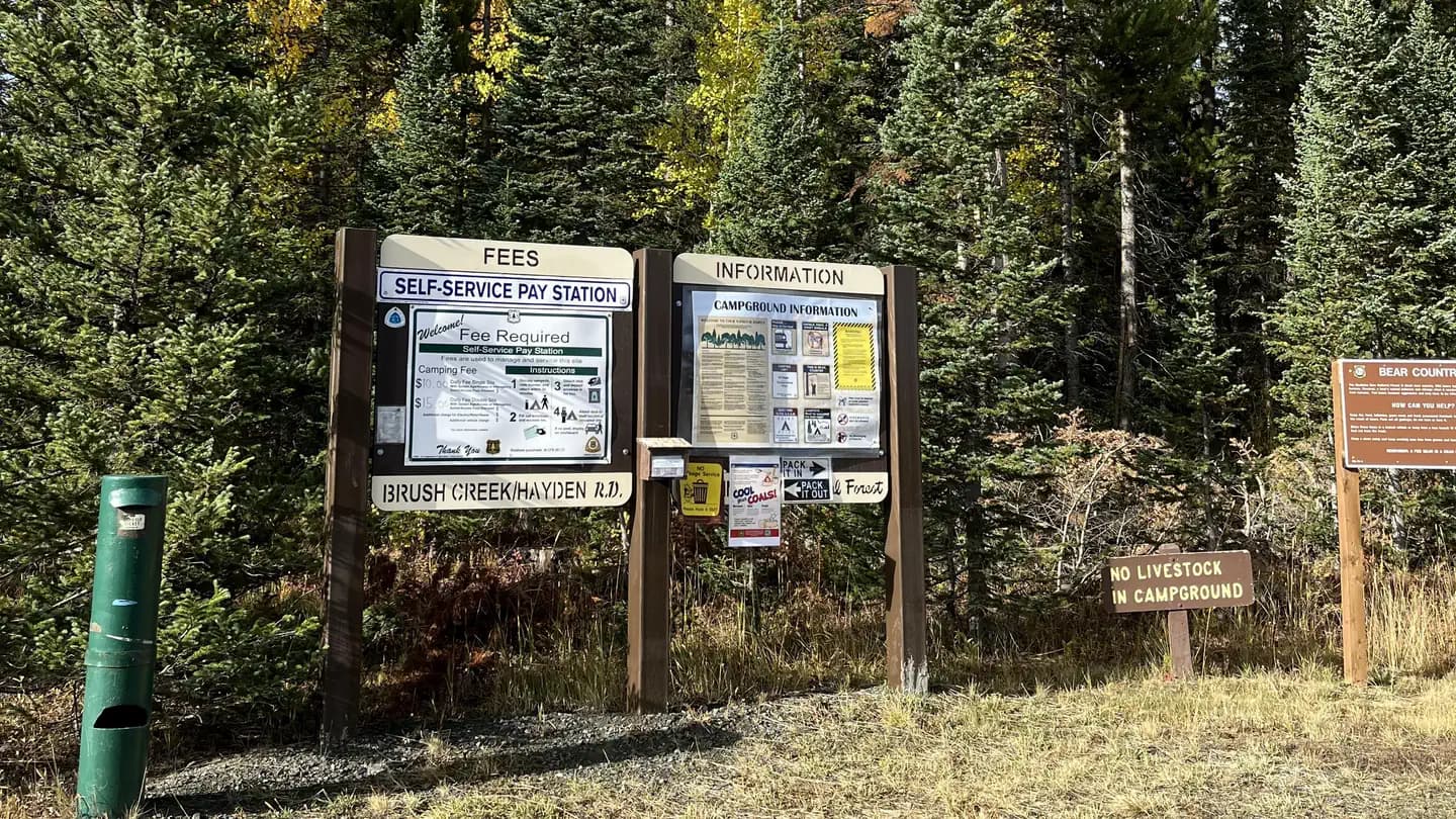 Jack Creek Campground (WY) campground in Wyoming