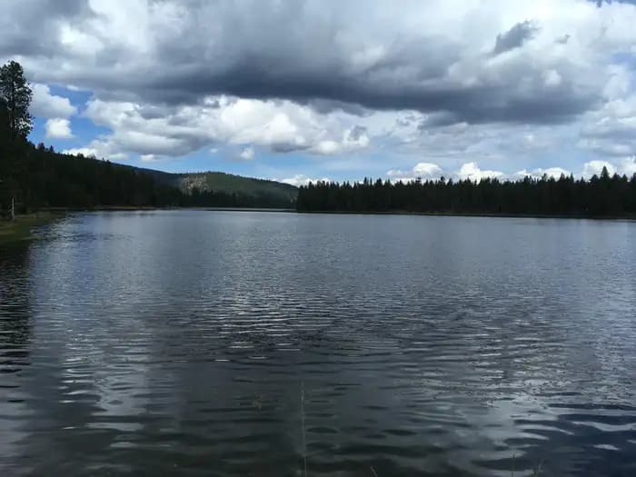 Juanita Lake Campground campground in California
