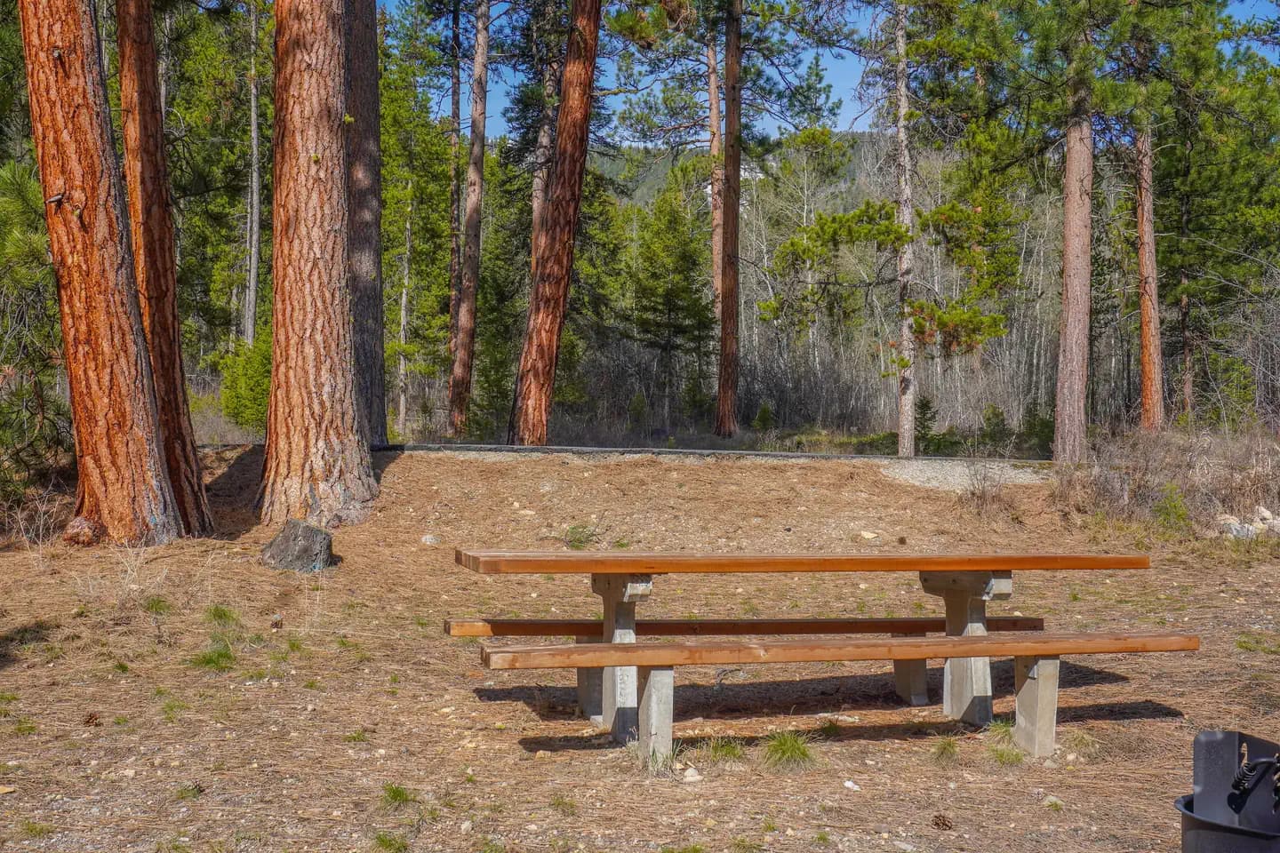 INDIAN TREES CAMPGROUND campground in Montana