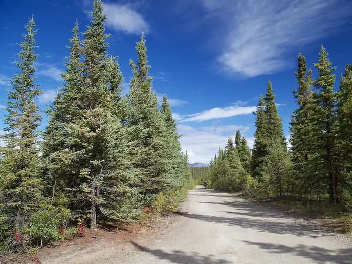 Brushkana Creek Campground campground in Alaska