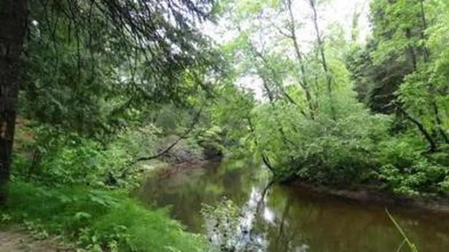 CARP RIVER CAMPGROUND campground in Michigan