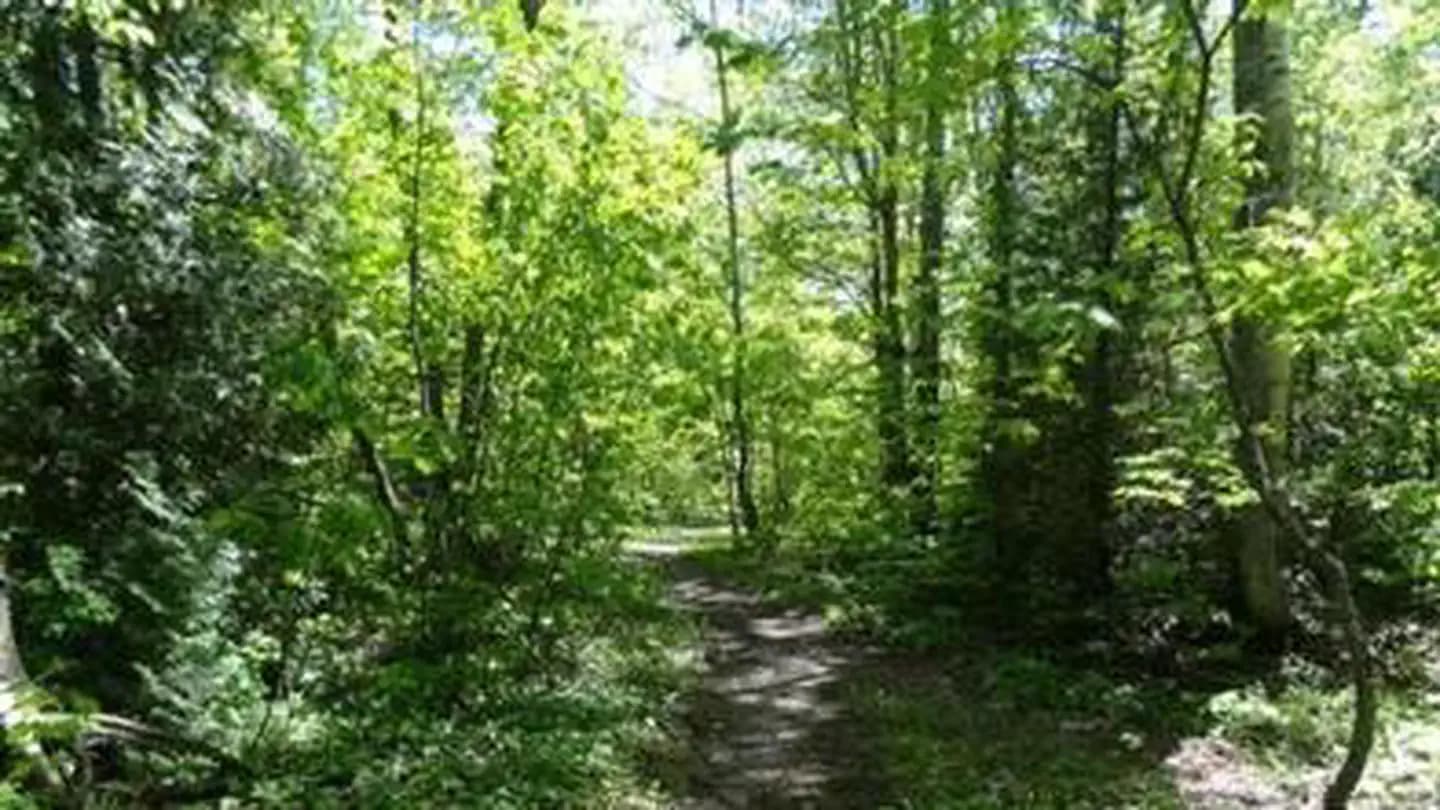 MONOCLE LAKE campground in Michigan