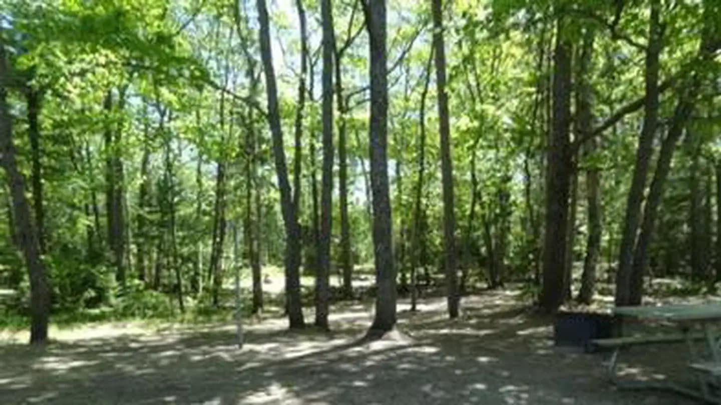 Bay View (Hiawatha National Forest, MI) campground in Michigan