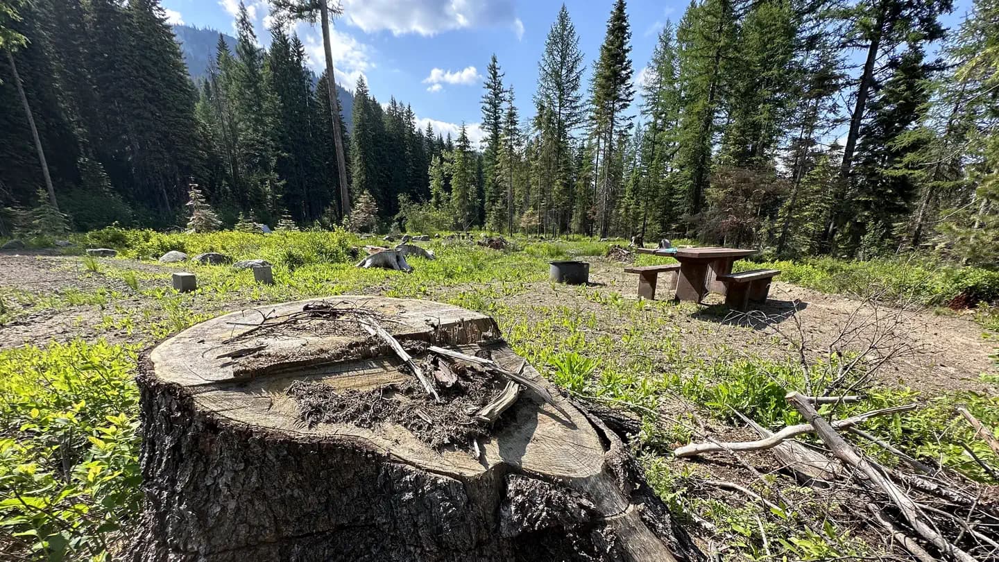 AMANITA campground in Idaho