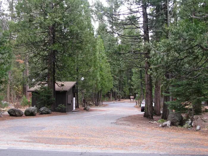 PINECREST campground in California