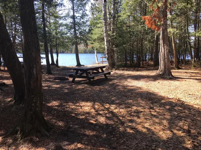 Ninemile Lake Campground campground in Minnesota