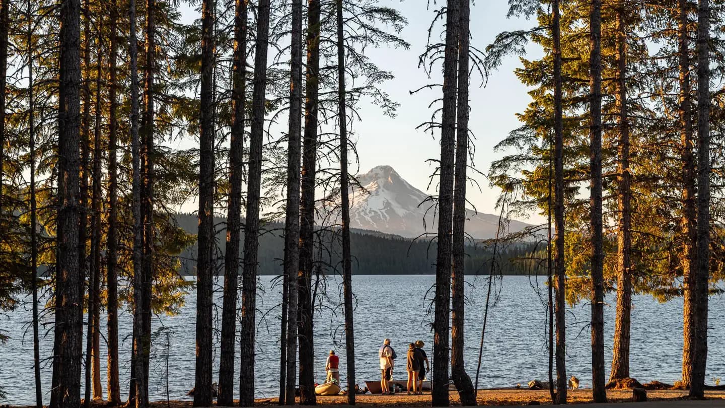Stone Creek Campground (Timothy Lake, OR) campground in Oregon