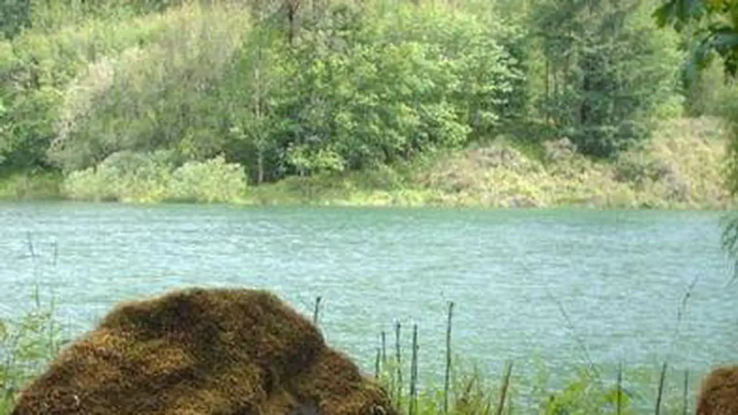 Black Canyon Campground (Willamette National Forest, OR) campground in Oregon
