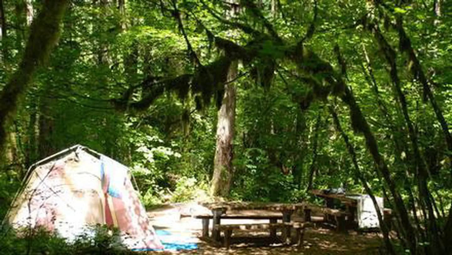 HOOVER CAMPGROUND campground in Oregon