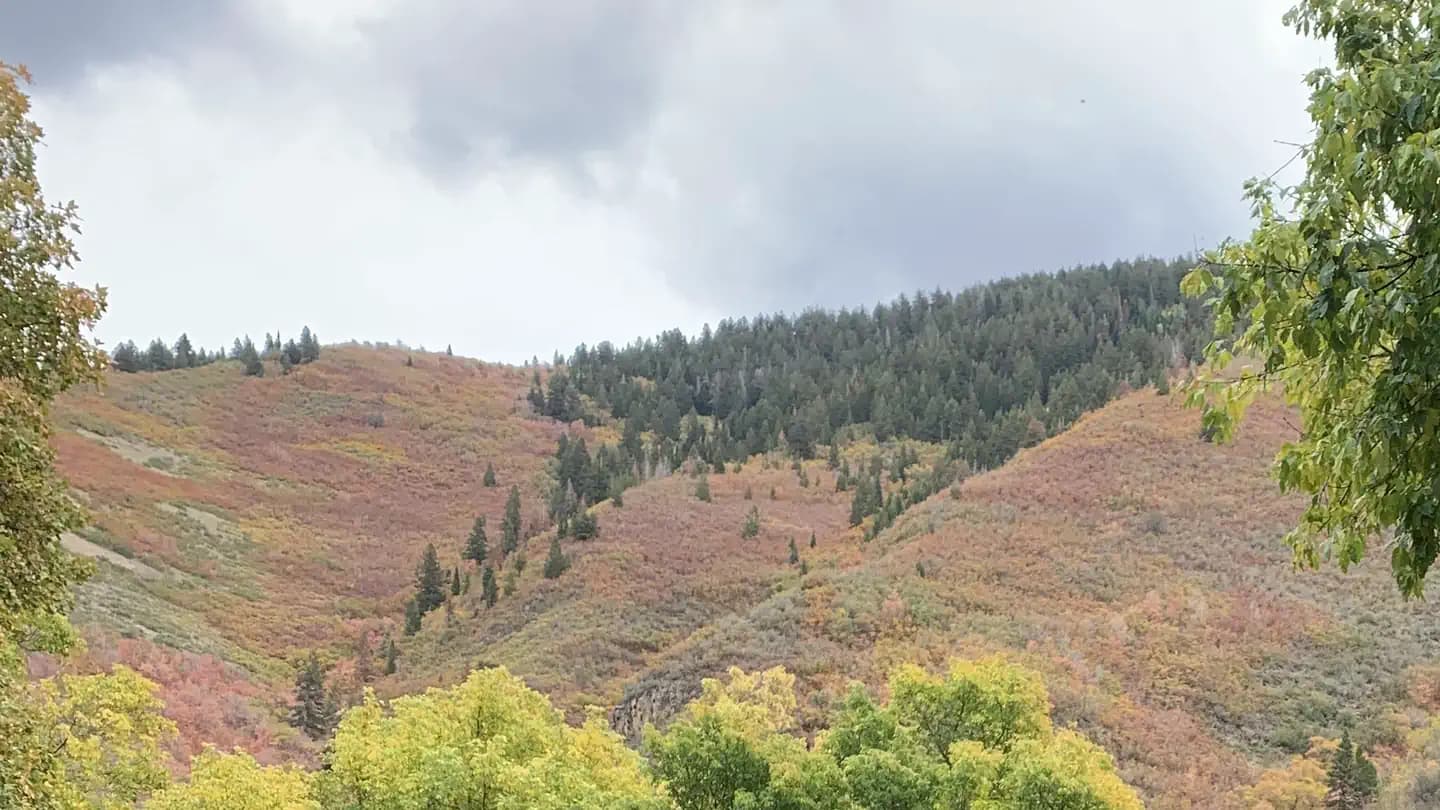 WHITING campground in Utah