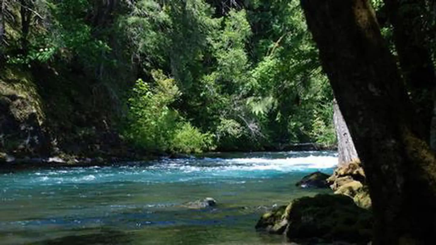 PARADISE IN OREGON campground in Oregon