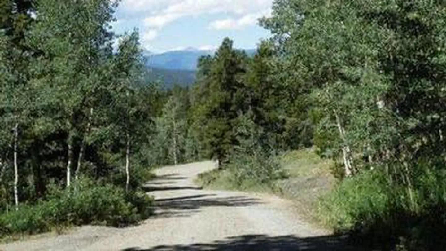 Cold Springs - Arapaho Roosevelt NF (CO) campground in Colorado