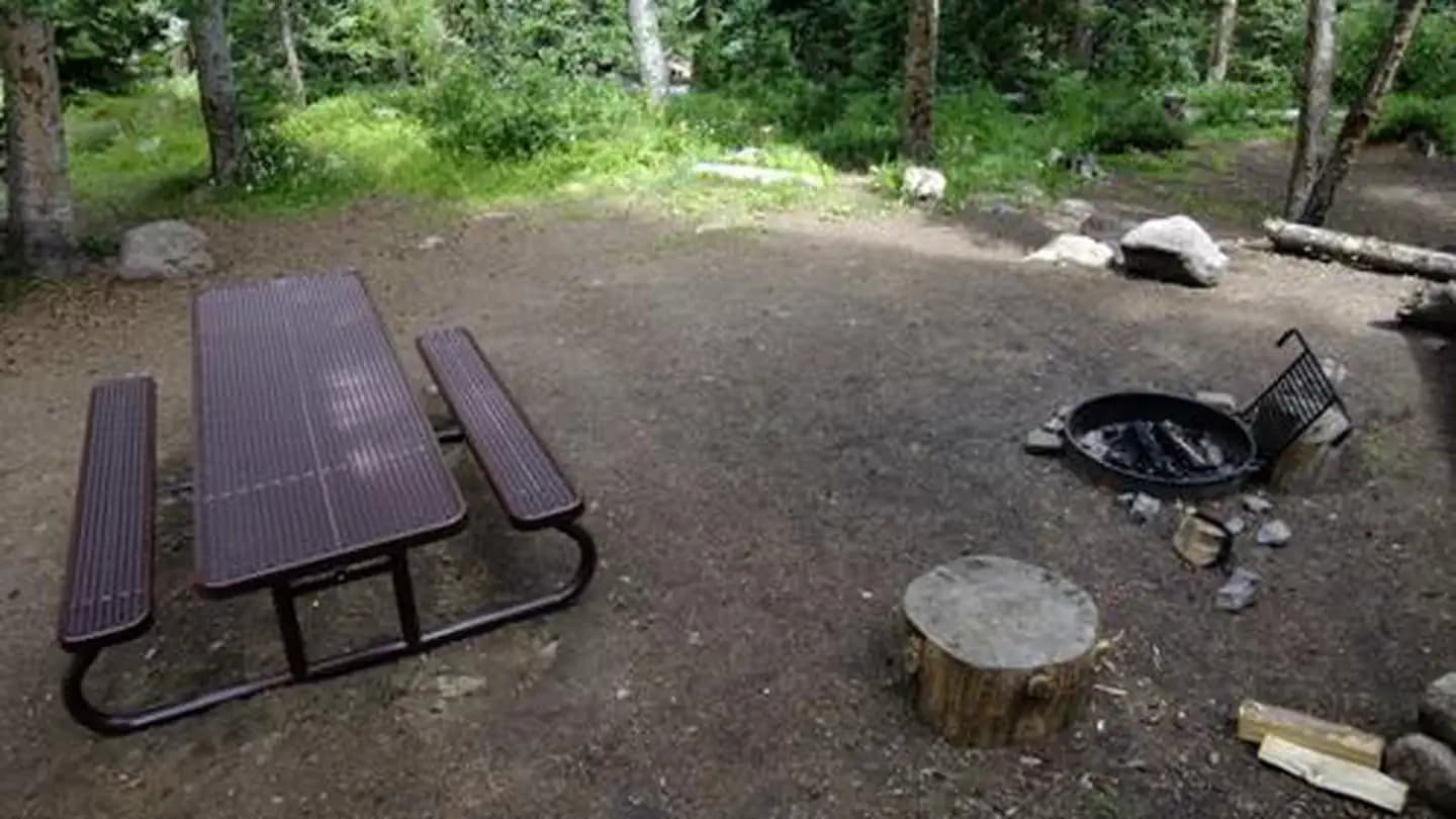 GORE CREEK CAMPGROUND campground in Colorado