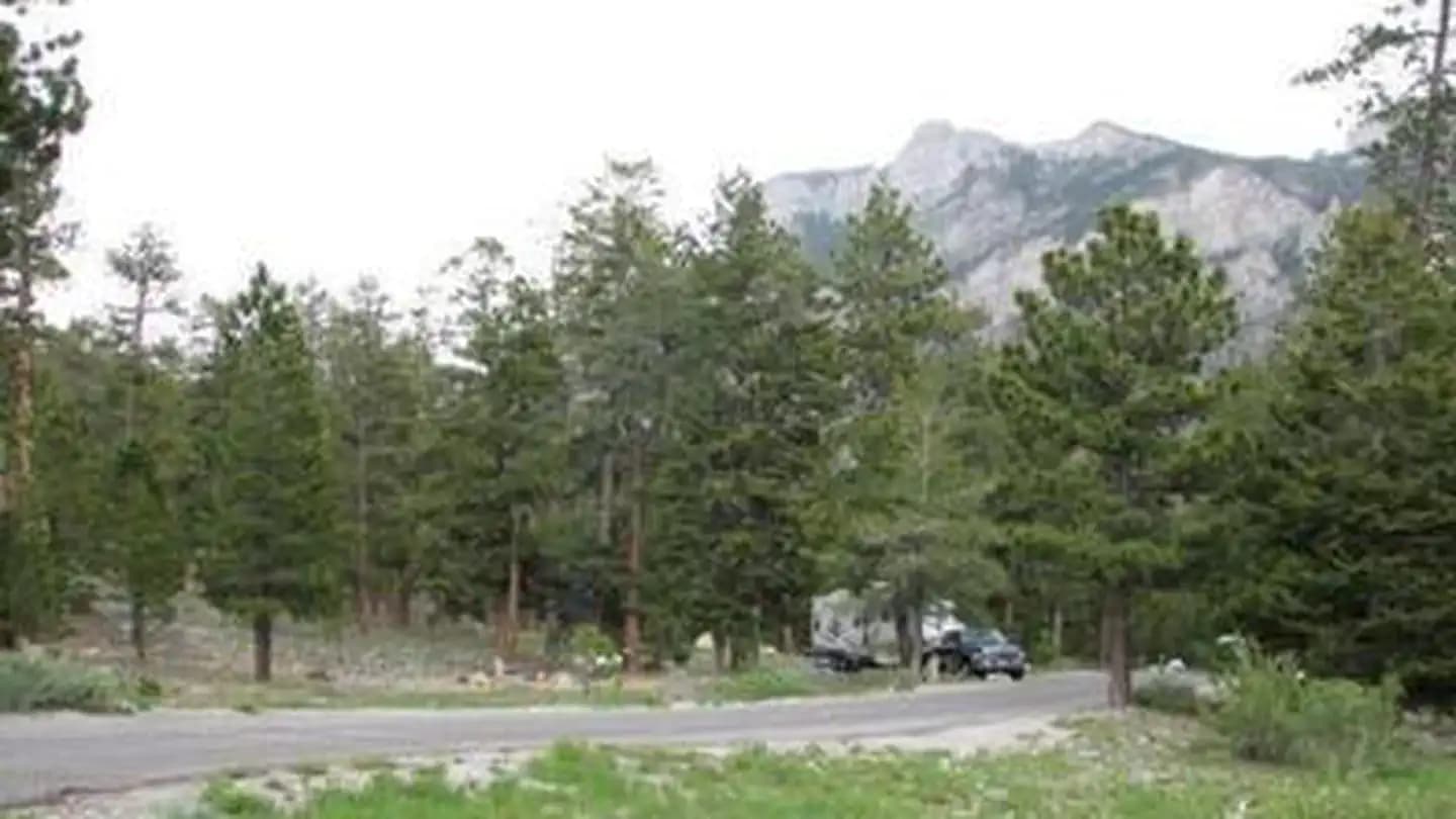 MCWILLIAMS campground in Nevada