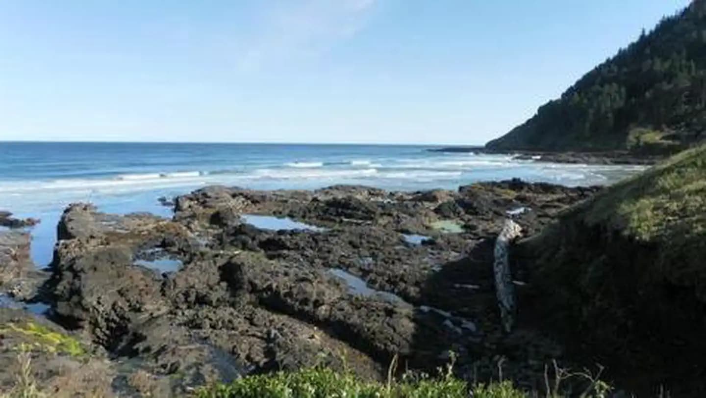 CAPE PERPETUA campground in Oregon