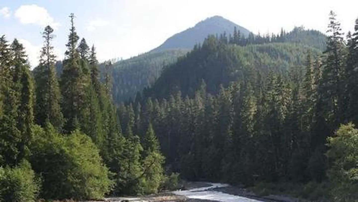 The Dalles Campground campground in Washington