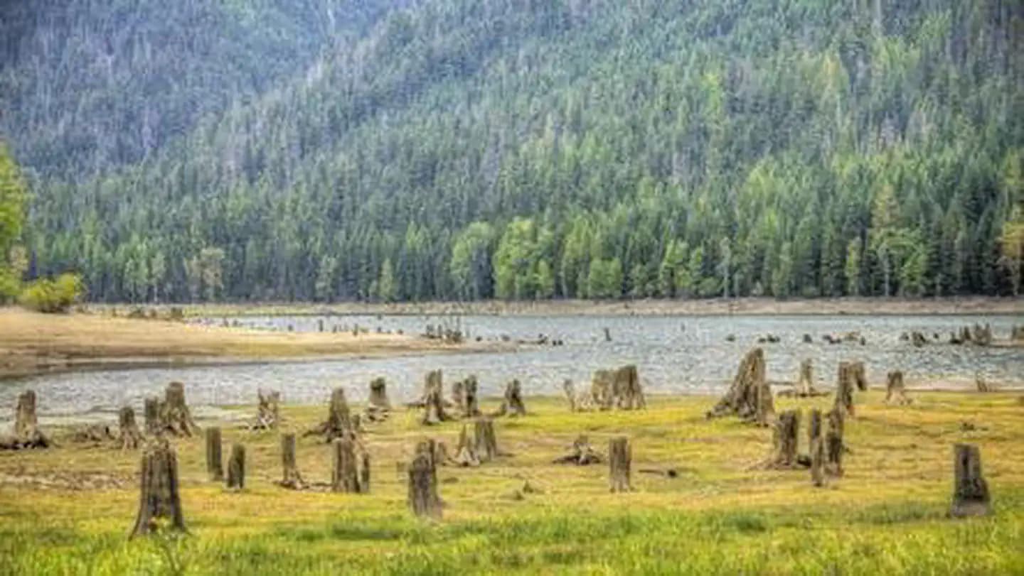 Bumping Lake Campground campground in Washington