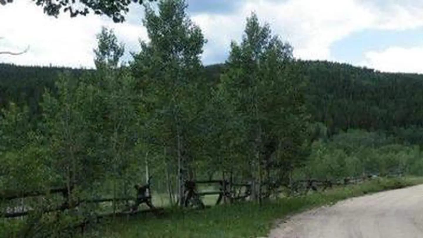 COLUMBINE CAMPGROUND campground in Colorado