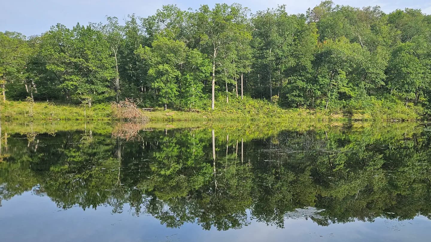LOGGERS LAKE CAMPGROUND campground in Missouri