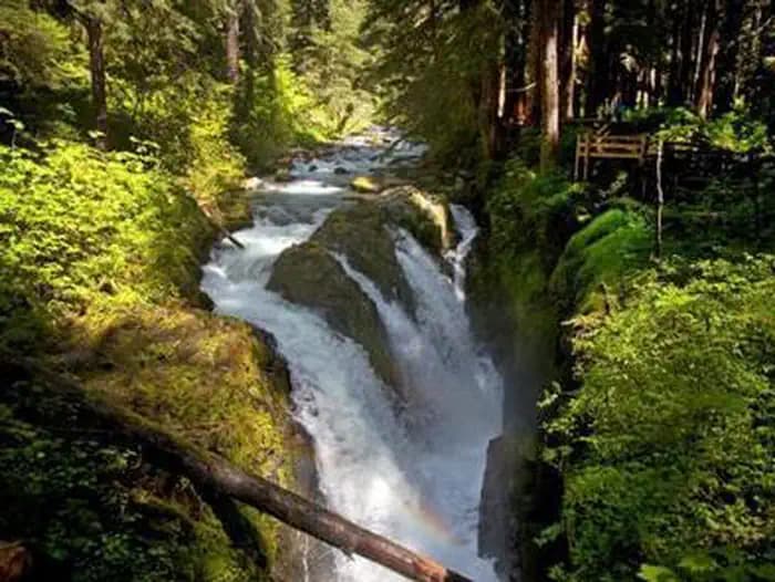 SOL DUC HOT SPRINGS RESORT CAMPGROUND campground in Washington