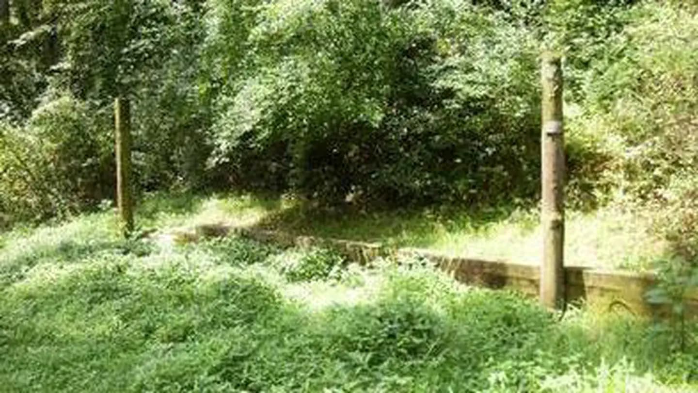 WASH CREEK HORSE CAMP campground in North Carolina