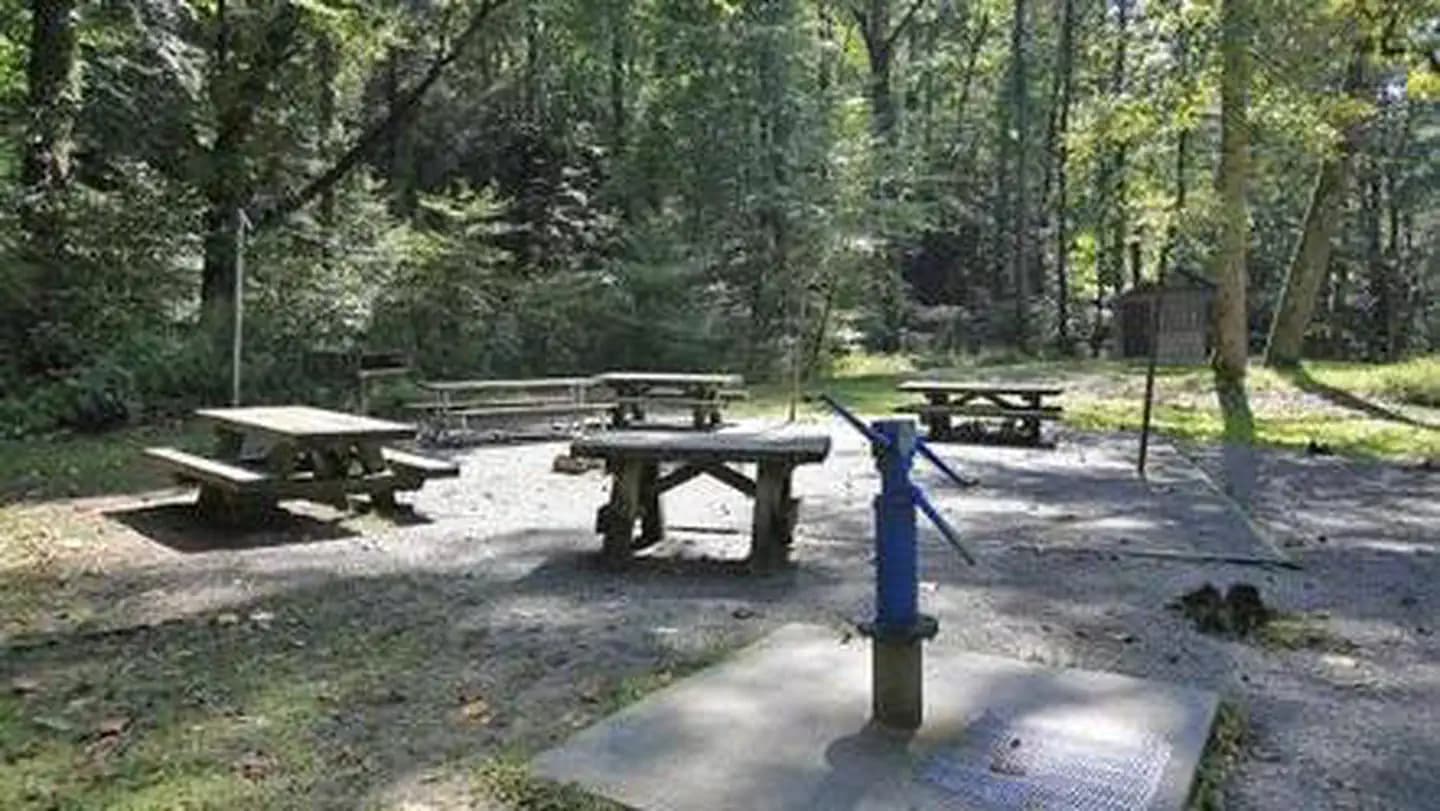 WHITE PINE SOUTH GROUP CAMP campground in North Carolina