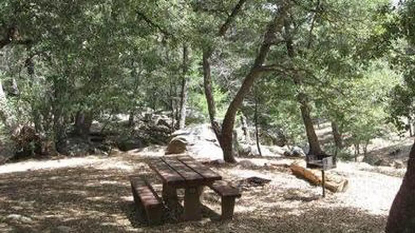 FRY CREEK CAMPGROUND campground in California